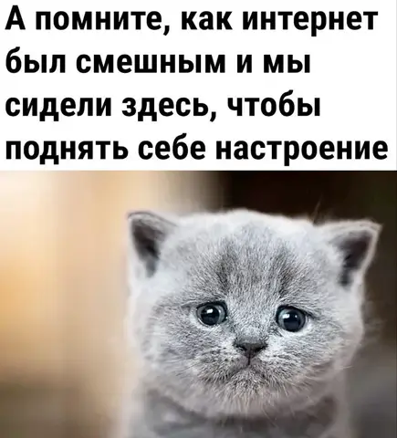А помните, как интернет был смешным, и мы сидели здесь, чтобы поднять себе настроение