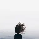 ferever